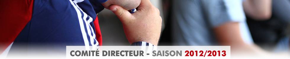 Image de l'article Comité directeur 2012/2013